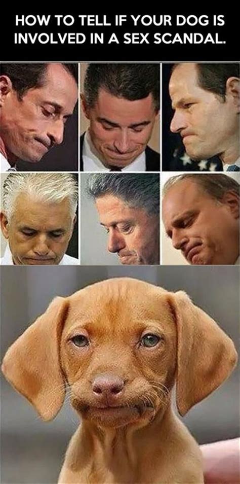 Two Vietaname Leaked Scandal Dog Style In Motel .